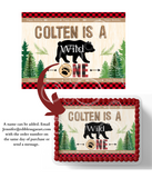 WILD ONE WOODLAND BABY SHOWER