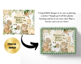 Dinosaur Baby shower cake topper edible image