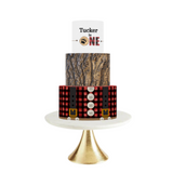 WILD ONE WOODLAND BABY SHOWER