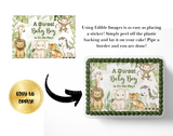 A sweet baby boy safari baby shower