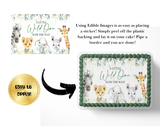 Safari Baby Shower