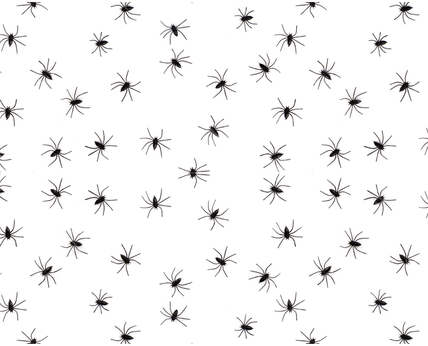 Halloween cake topper Print sheets spider print,  spider cake topepr