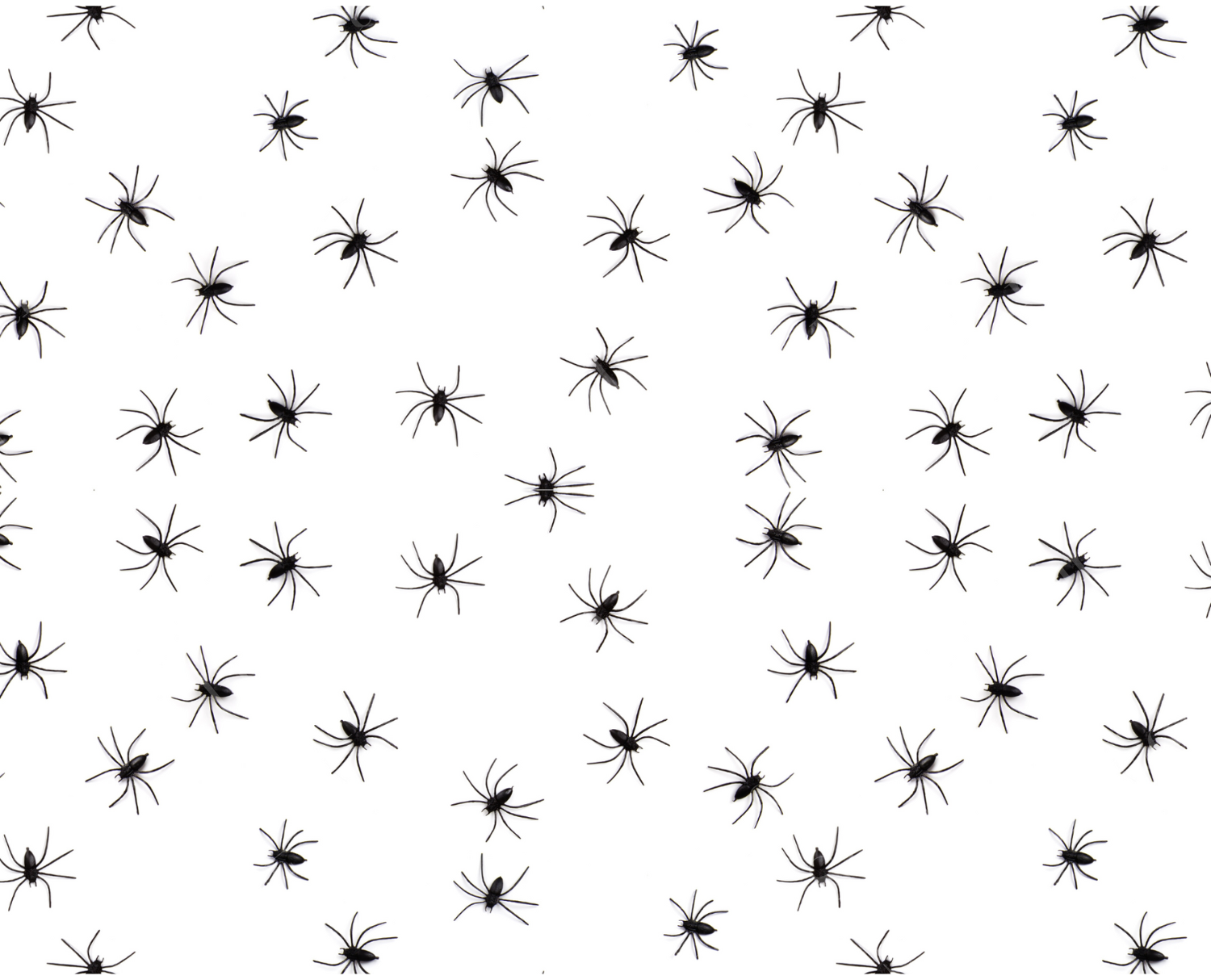 Halloween cake topper Print sheets spider print,  spider cake topepr