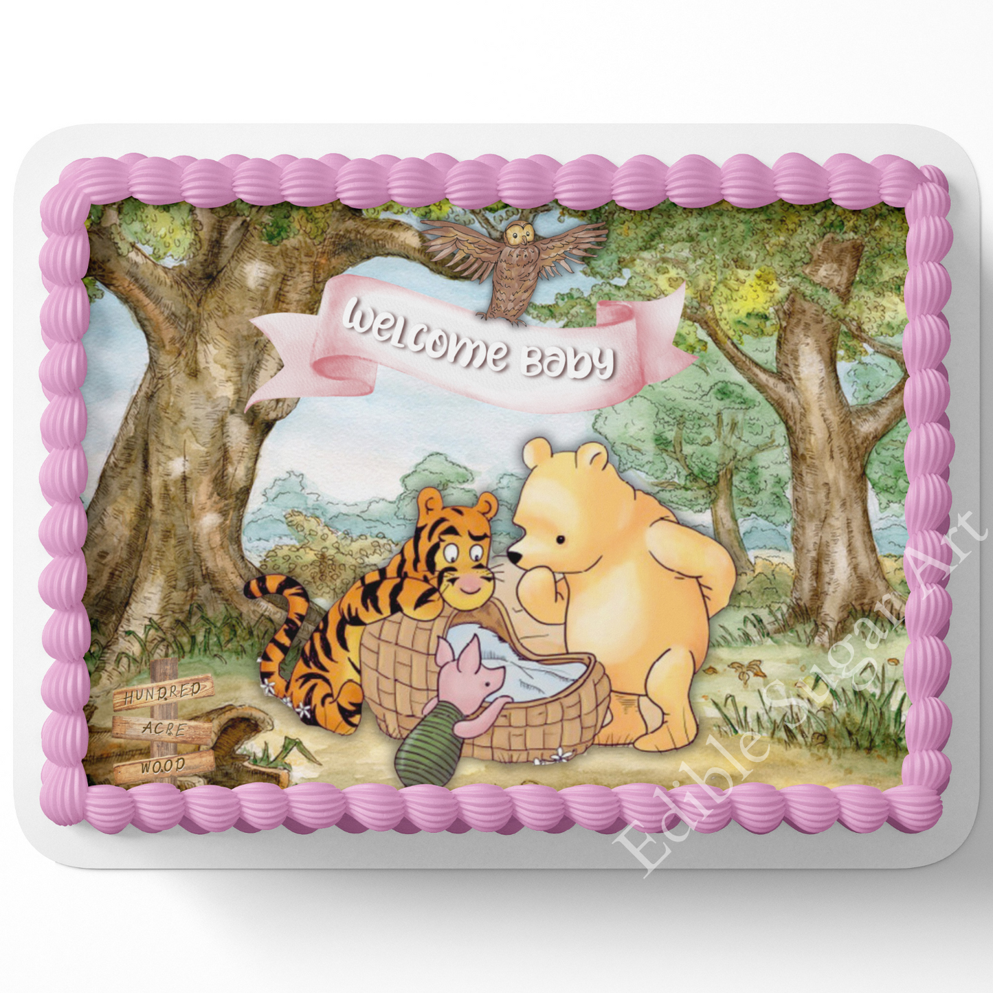 Pooh Bear Baby SHower CAke Topper, Pooh Bear Cake Topper, Sheet Cake decorations