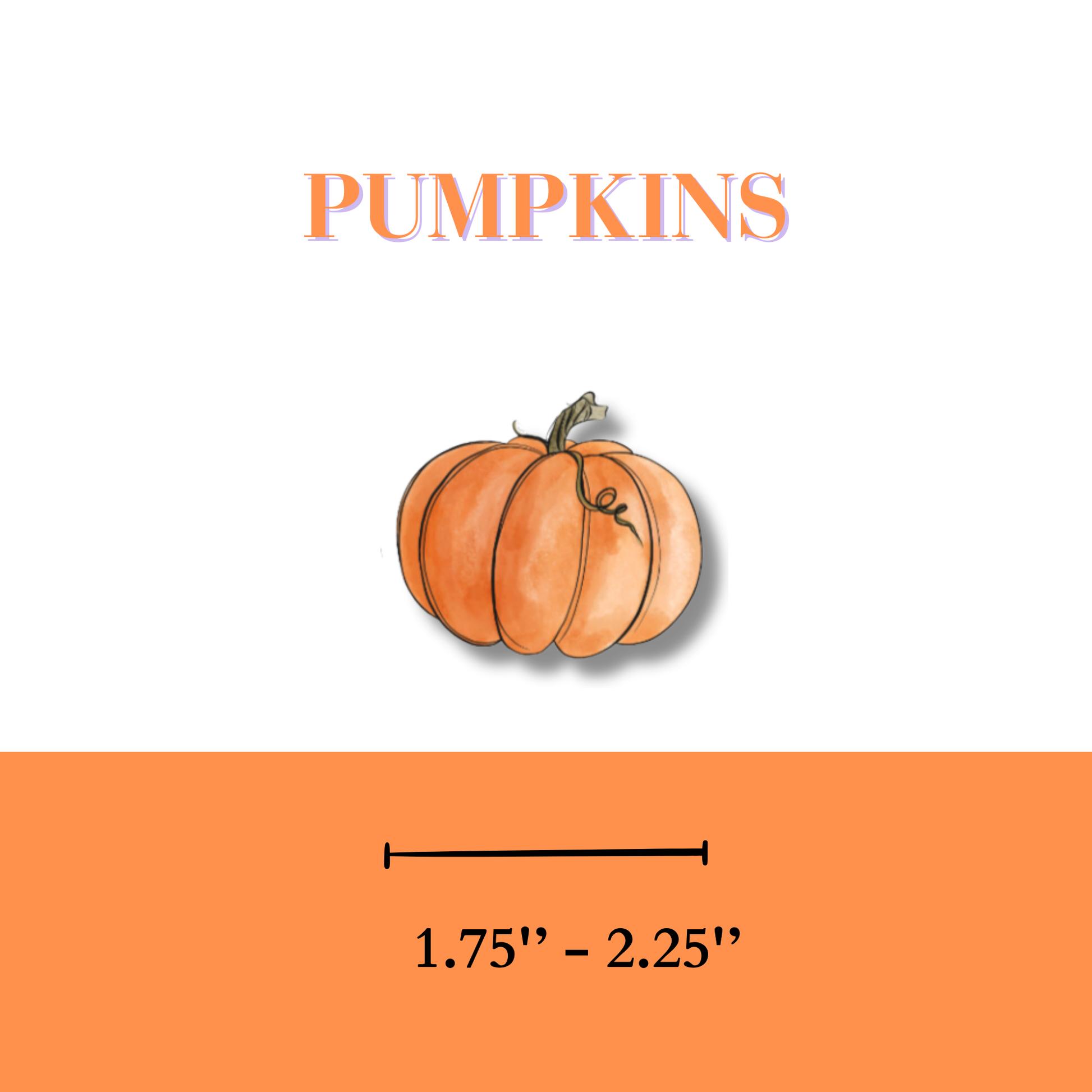 Edible Pumpkin cupcake topper, pumpkins pumpkin cake topper, pumpkin decor for desserts