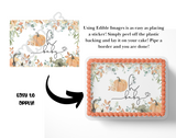 Edible image for cake with pumpkins and 'Oh Baby' text, showing application instructions.