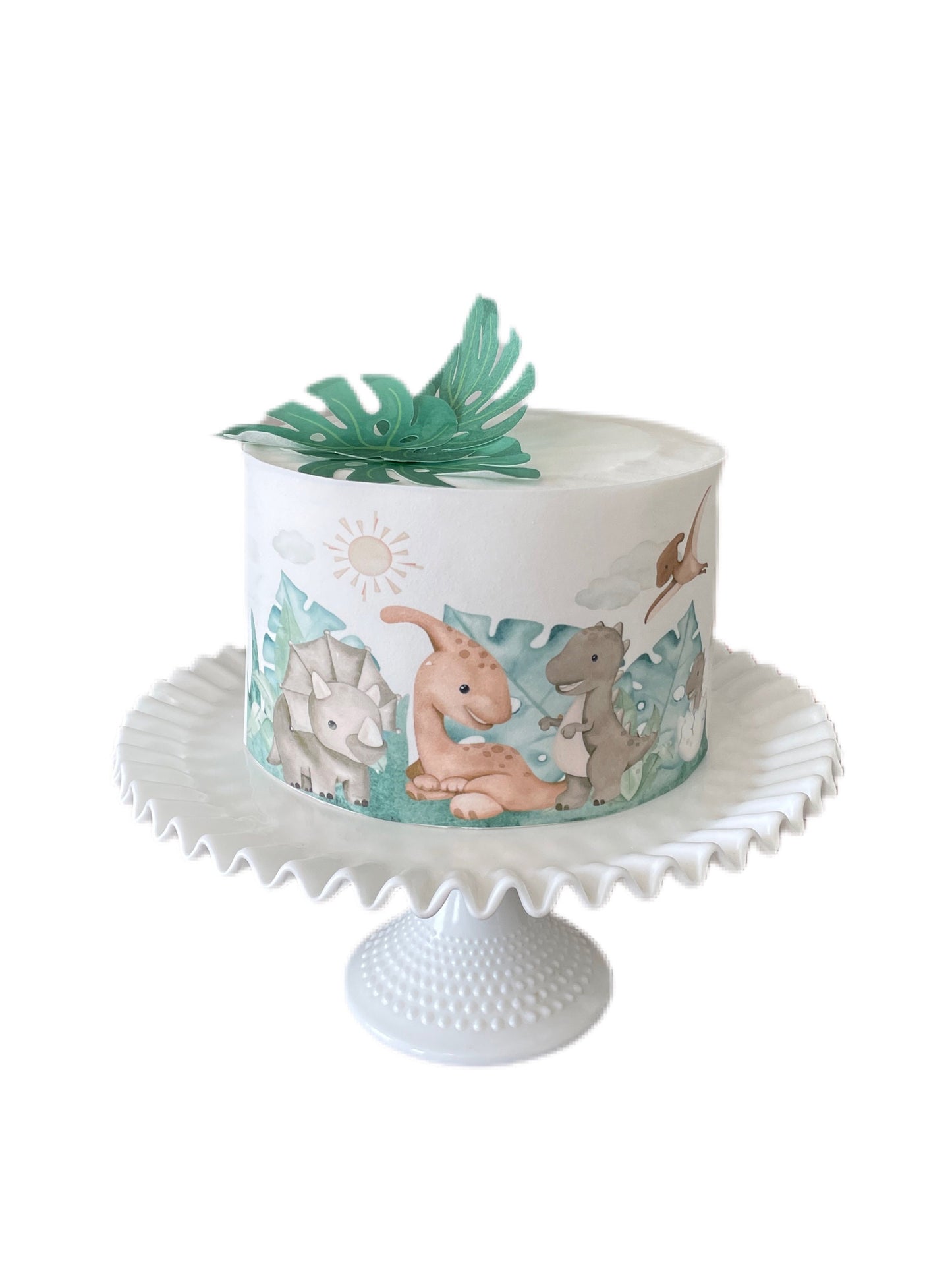 Dinosaurs Edible Image Cake Wrap Icing Sheet Dinos Dinosaur Park Baby DInosaurs