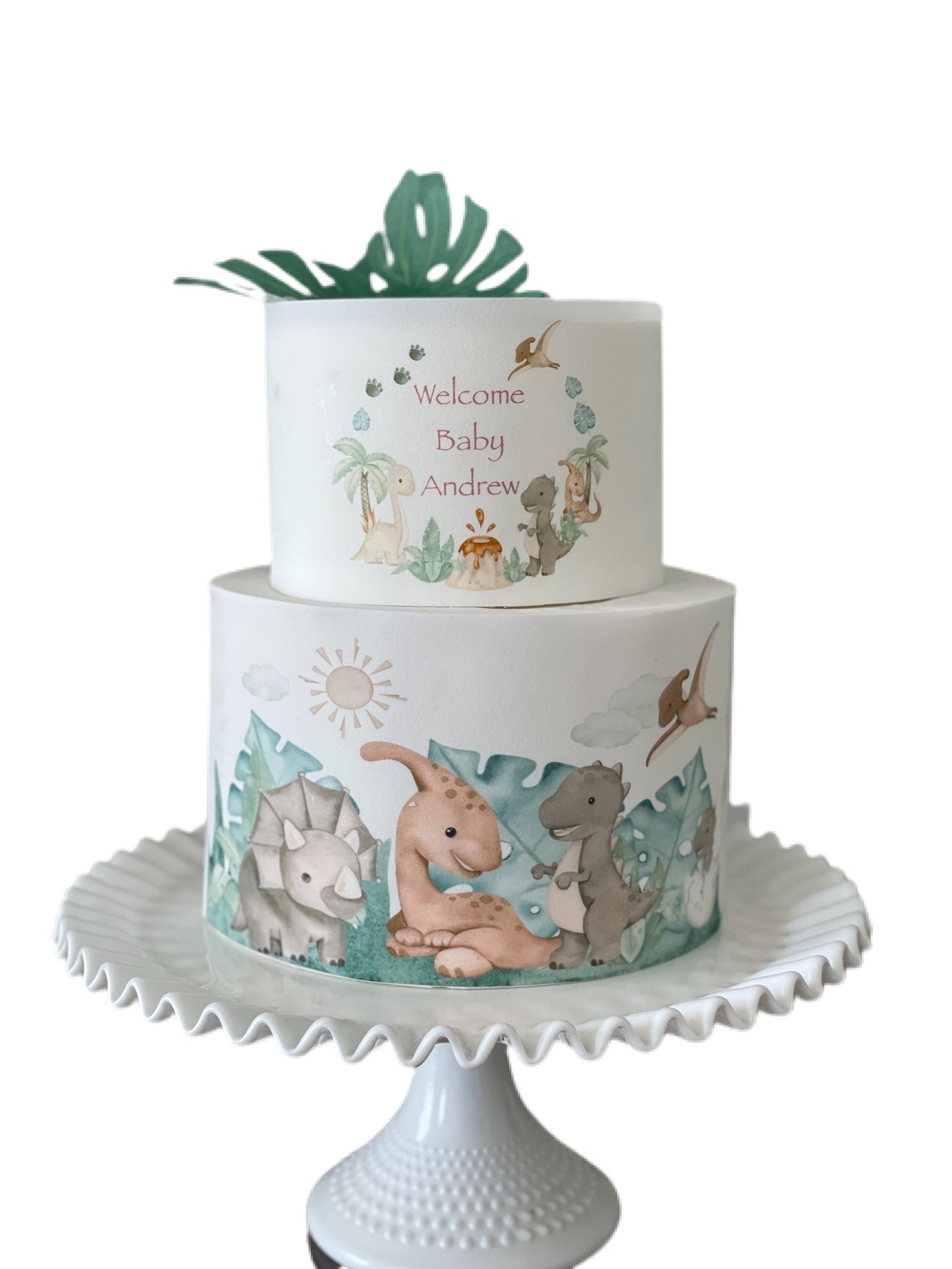 Dinosaurs Edible Image Cake Wrap Icing Sheet Dinos Dinosaur Park Baby DInosaurs