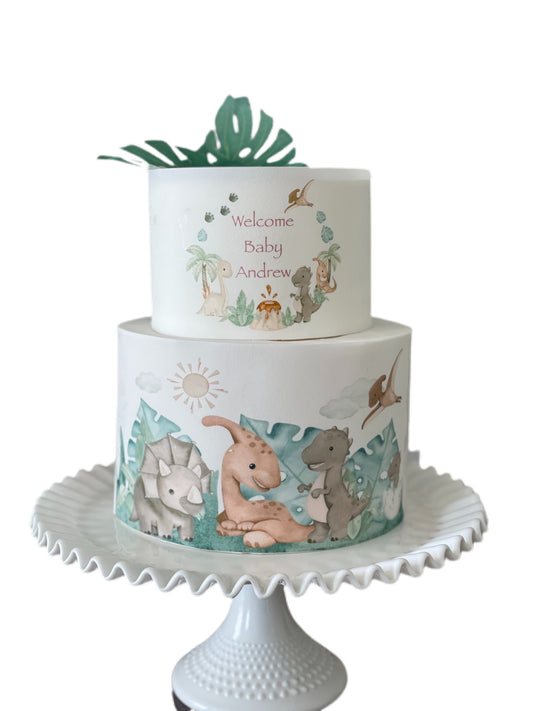 Dinosaurs Edible Image Cake Wrap Icing Sheet Dinos Dinosaur Park Baby DInosaurs