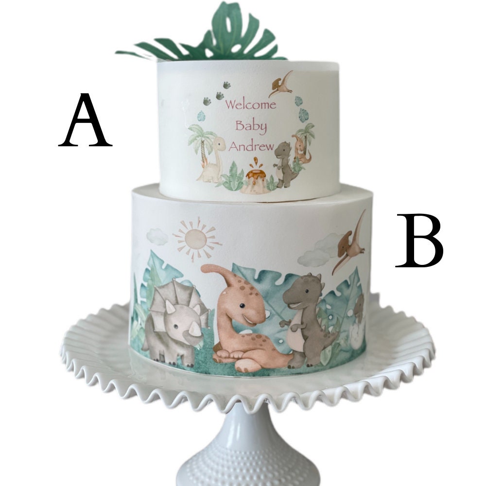 Dinosaurs Edible Image Cake Wrap Icing Sheet Dinos Dinosaur Park Baby DInosaurs