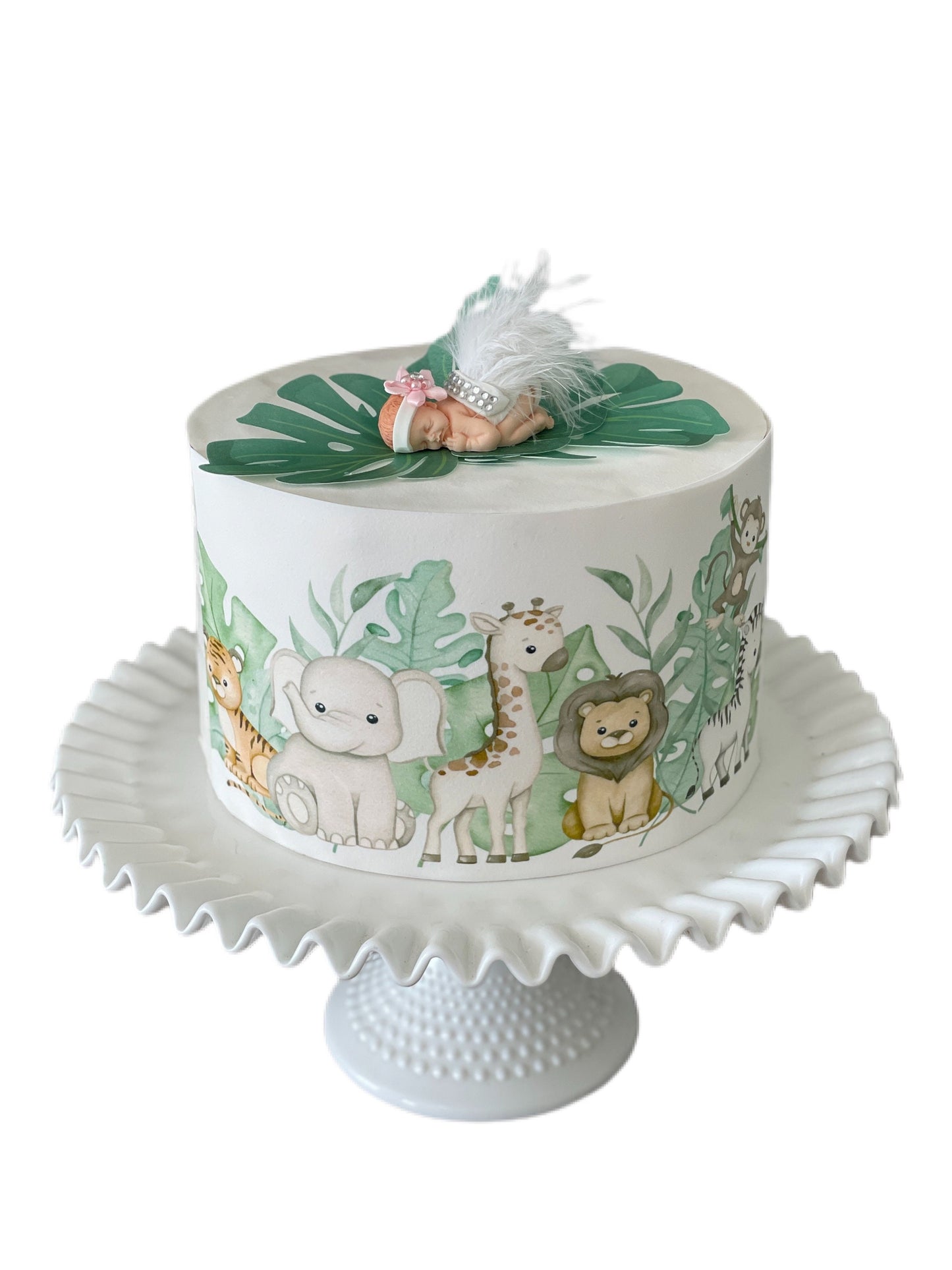 Dinosaurs Edible Image Cake Wrap Icing Sheet Dinos Dinosaur Park Baby DInosaurs